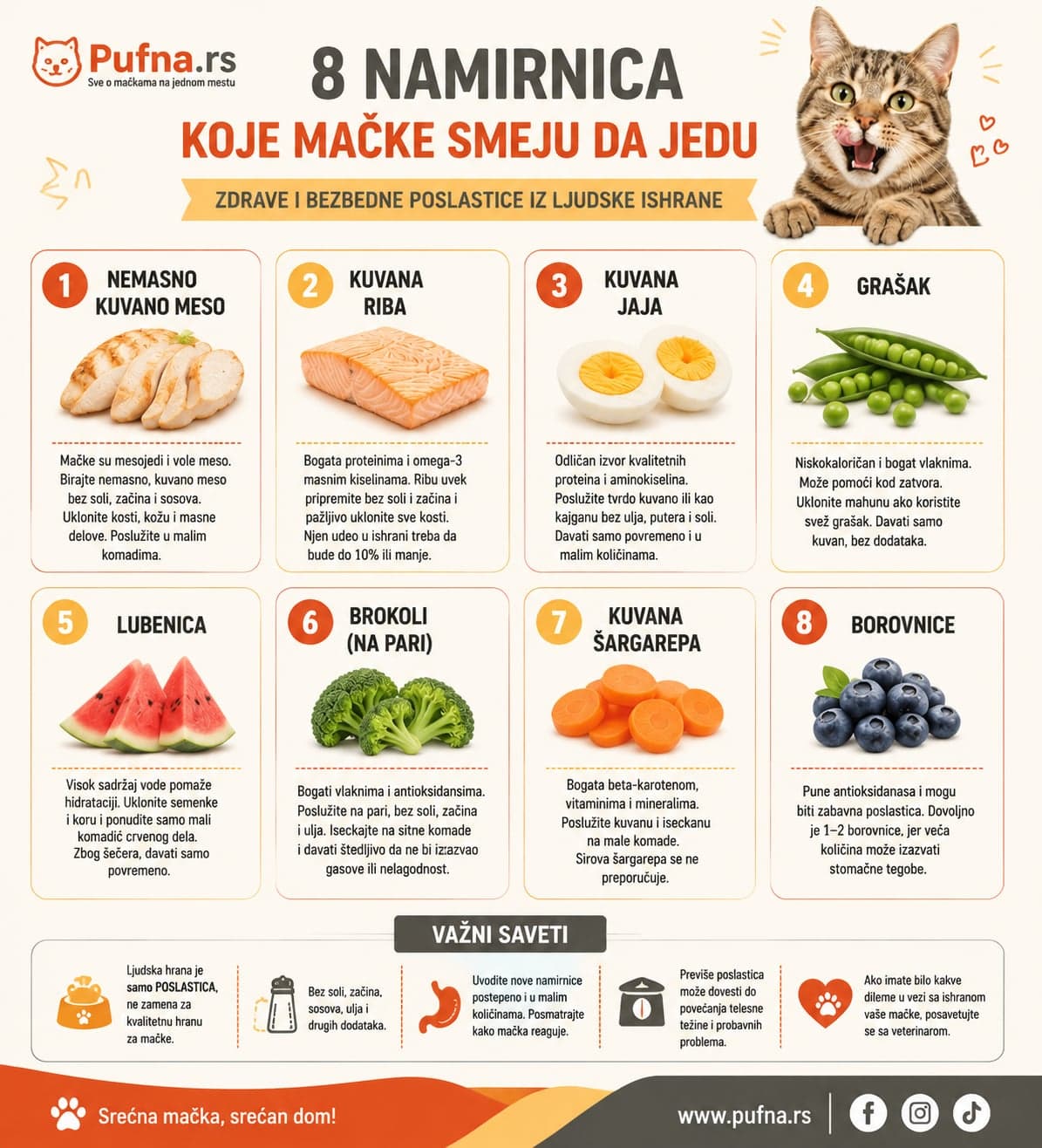 Infografika - Namirnice iz ljudske ishrane koje mačke smeju da jedu