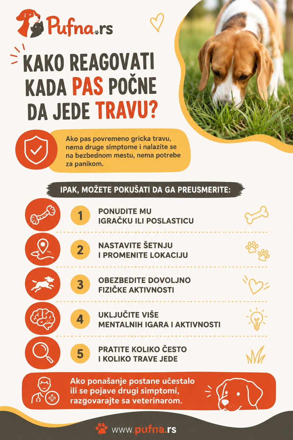 infografika - Zašto psi jedu travu
